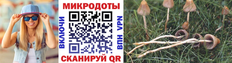 Псилоцибиновые грибы GOLDEN TEACHER  хочу наркоту  Сорск 